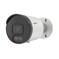 SVI-S147A SD DT SP видеокамера IP